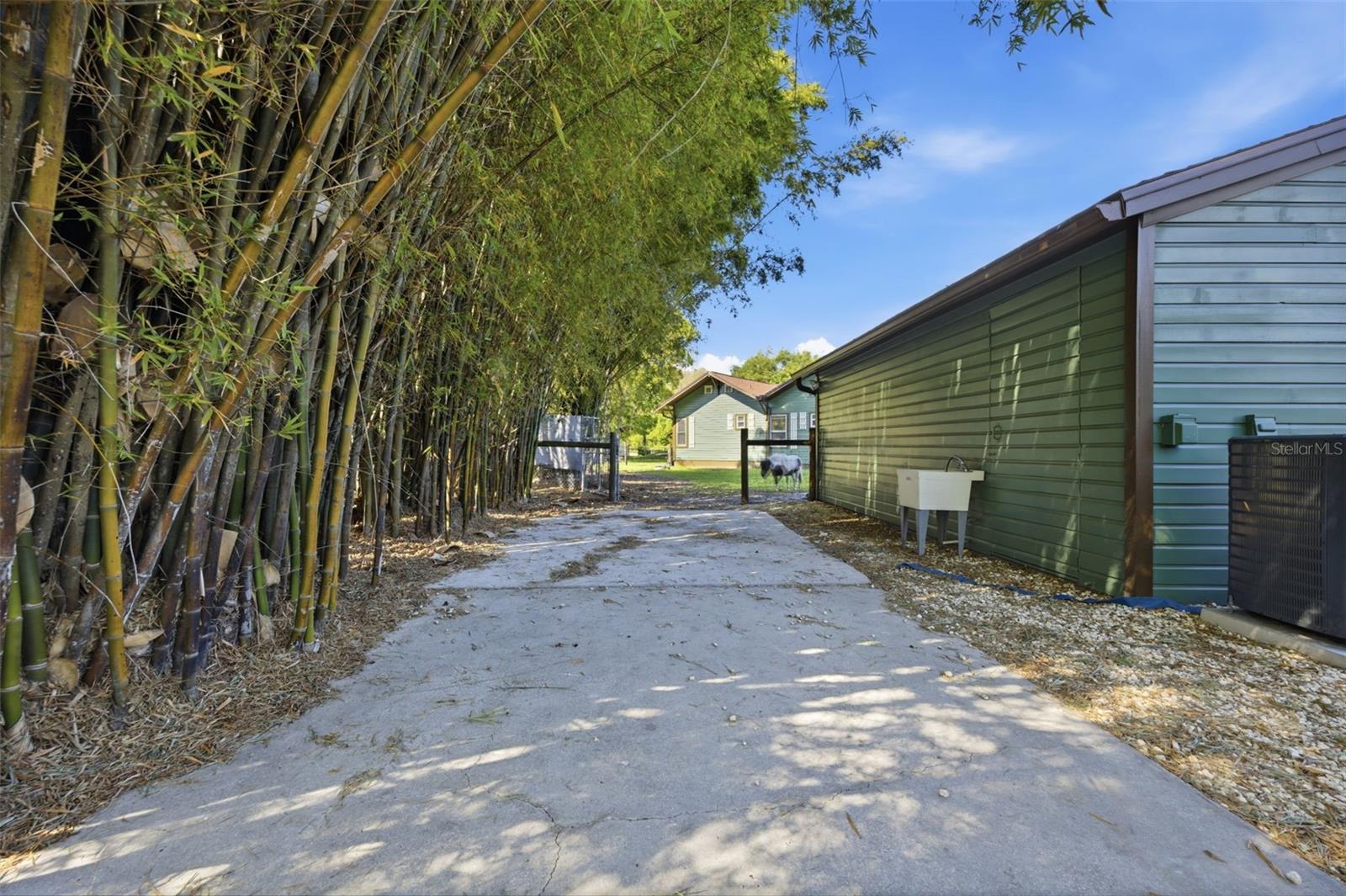 Parking pad, view of back of In-Law suite and gate to front yard