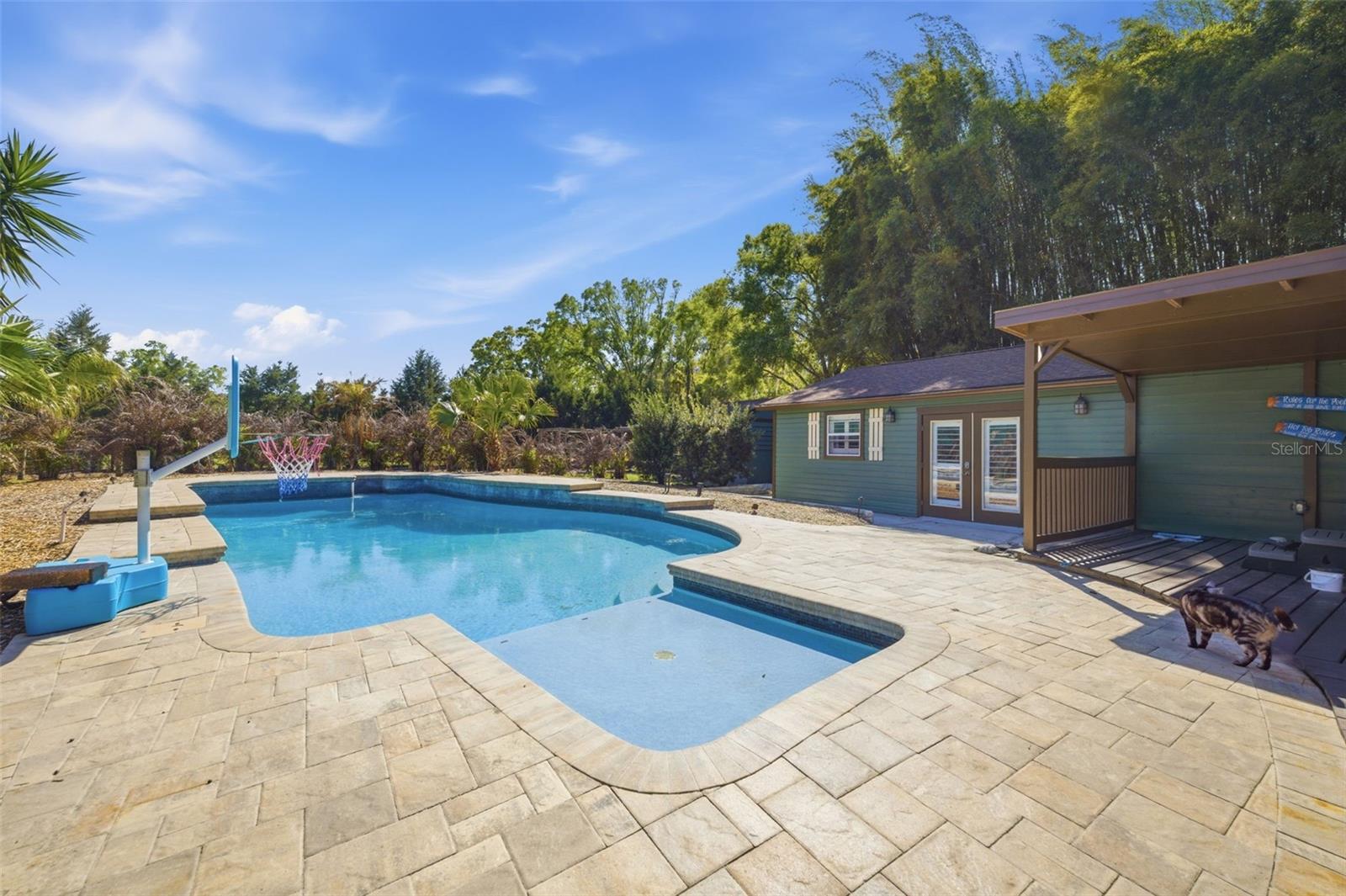 Gorgeous pool recently redone with sun shelf and view of In law suite