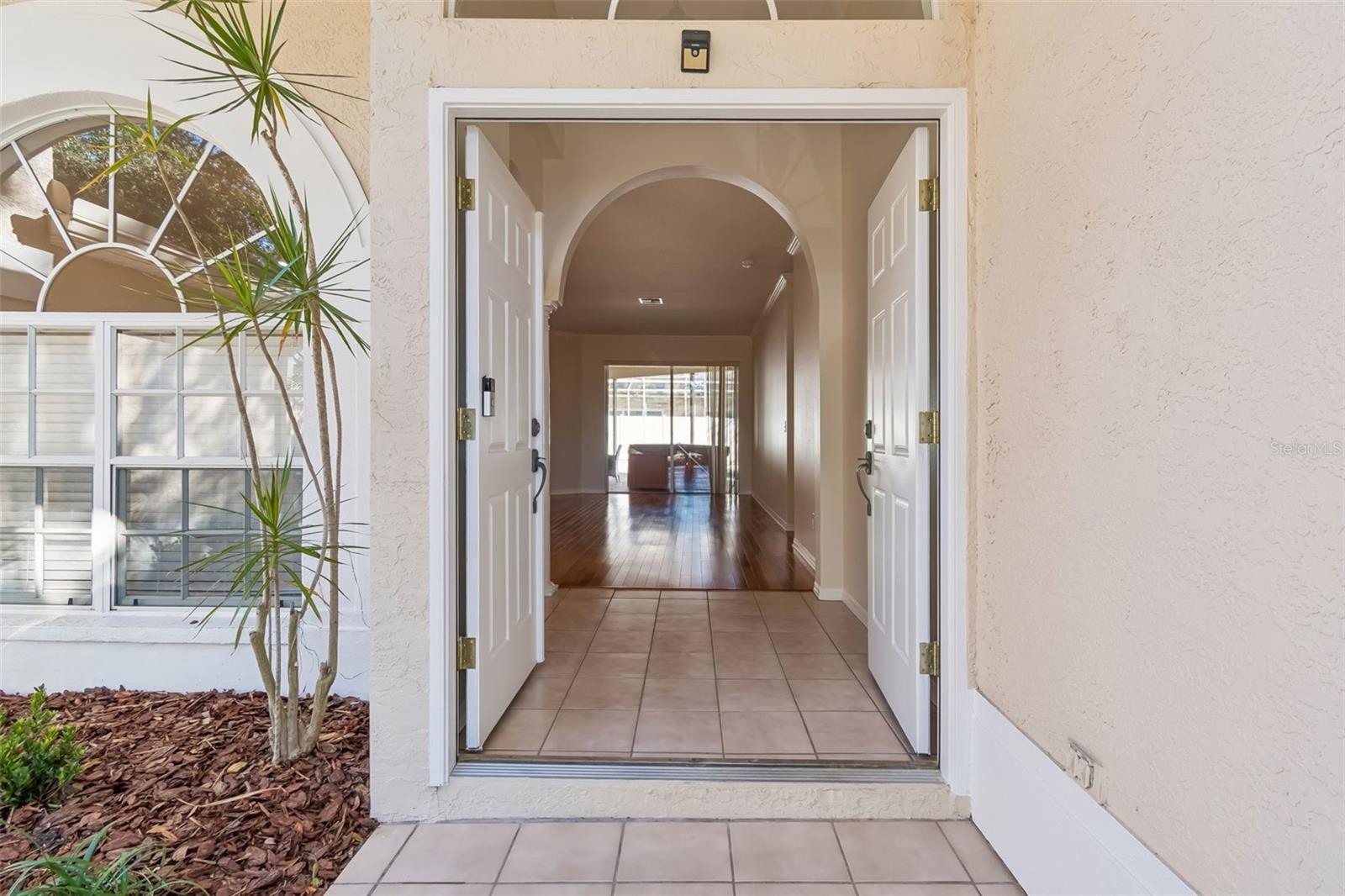 Come on in and look around