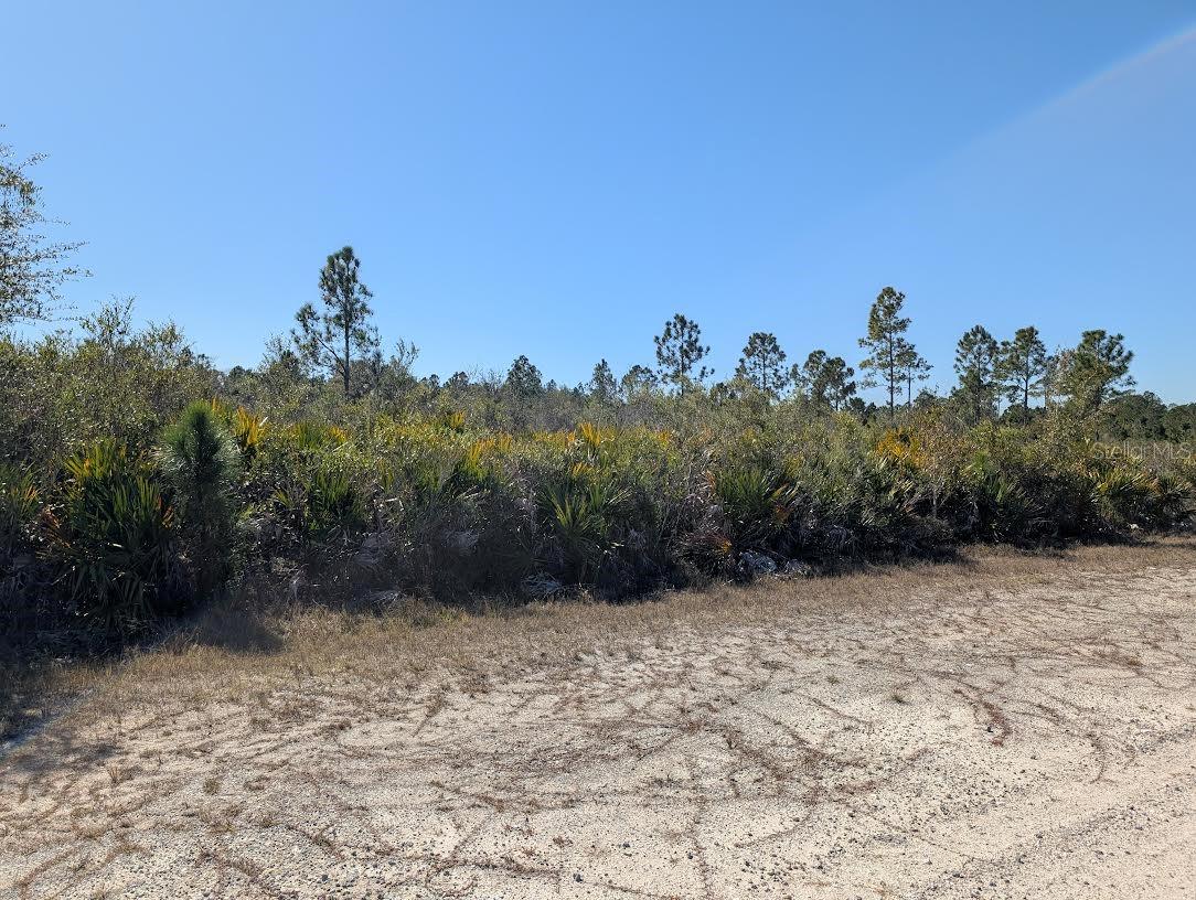 503 ALBA DR, INDIAN LAKE ESTATES, FL, 33855