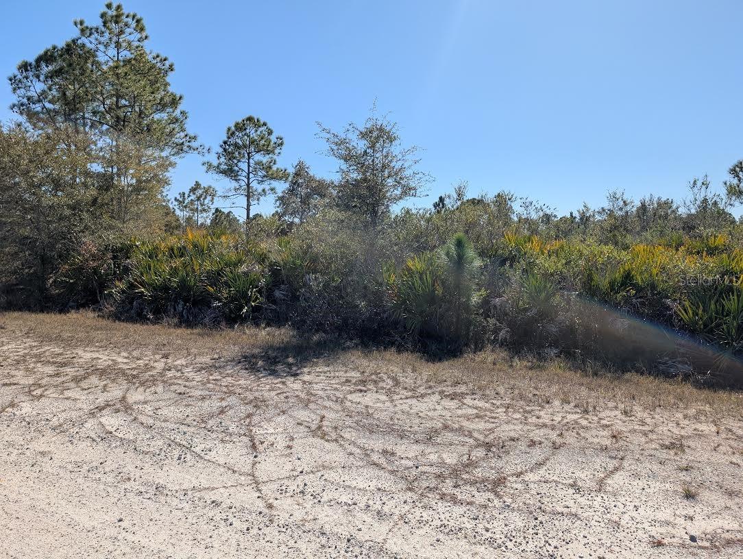 503 ALBA DR, INDIAN LAKE ESTATES, FL, 33855