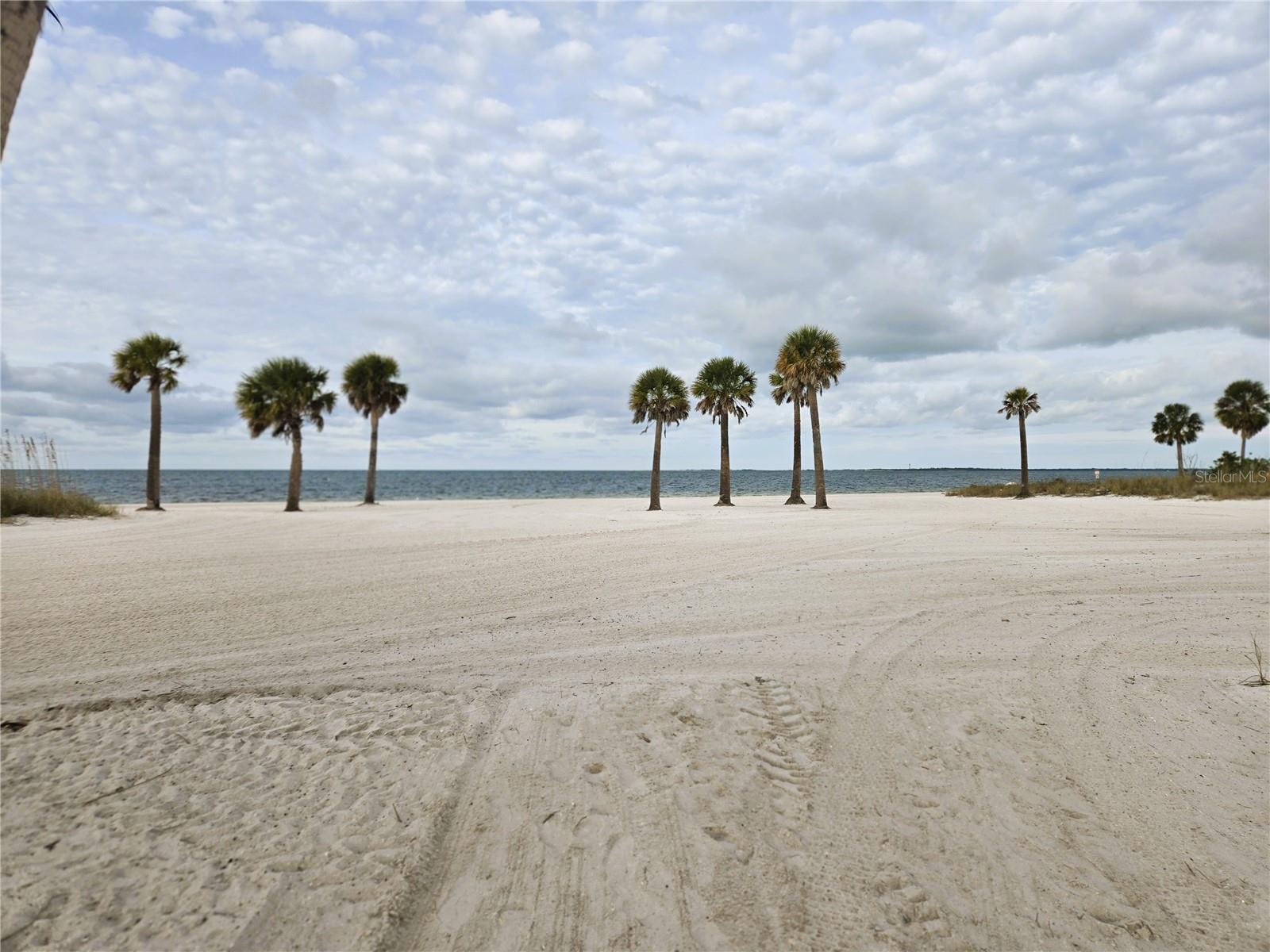 FRED HOWARD PARK TARPON SPRINGS