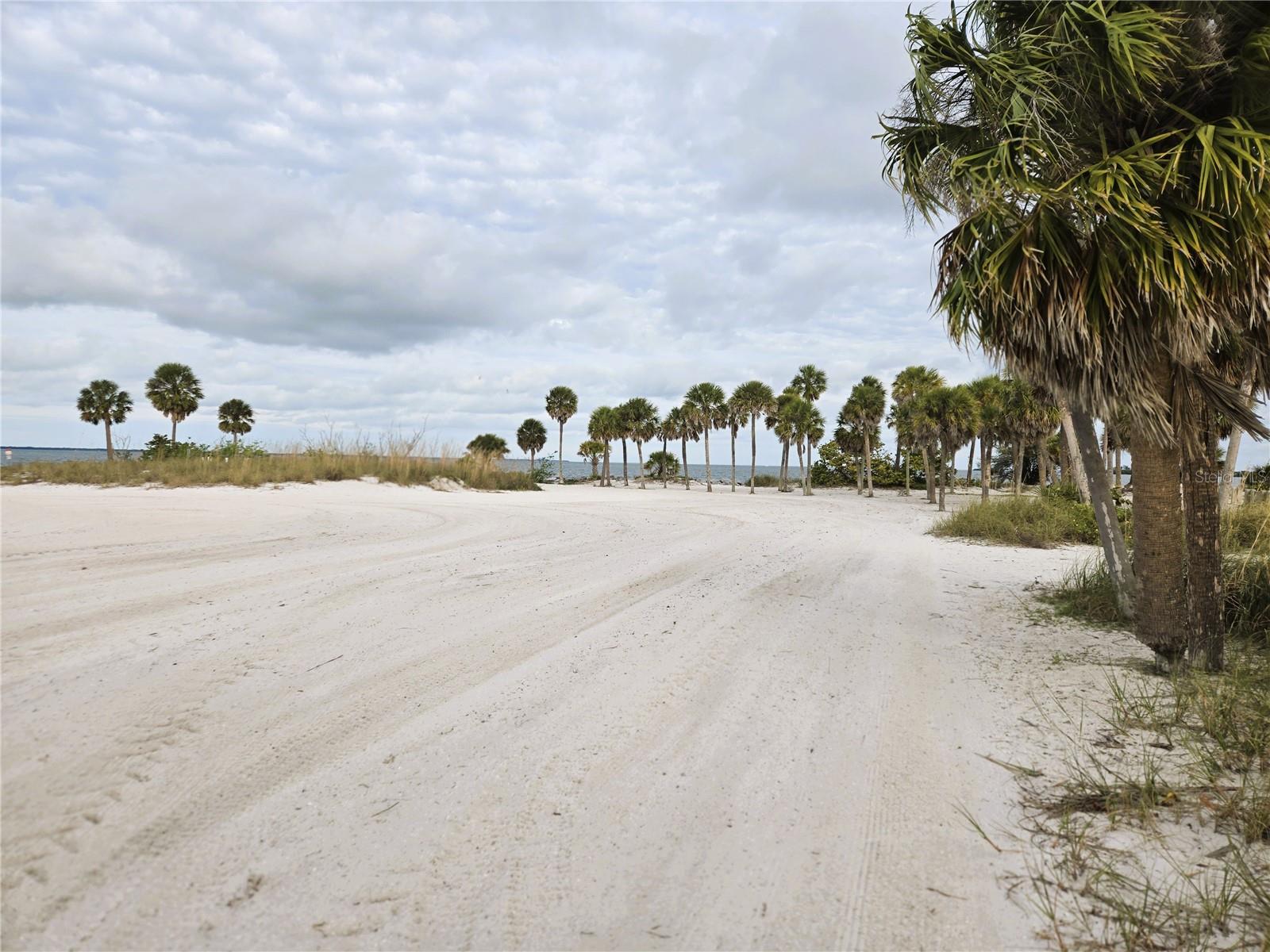 FRED HOWARD PARK TARPON SPRINGS