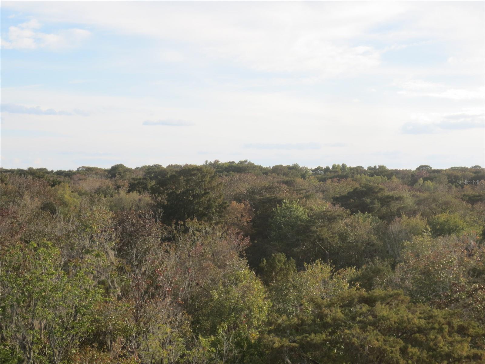 OM716181 Property Photo