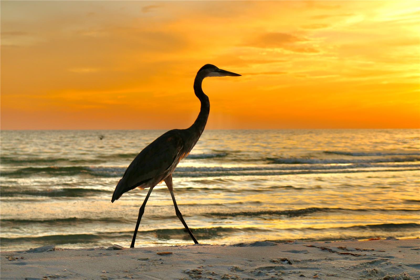 A4677354 Property Photo