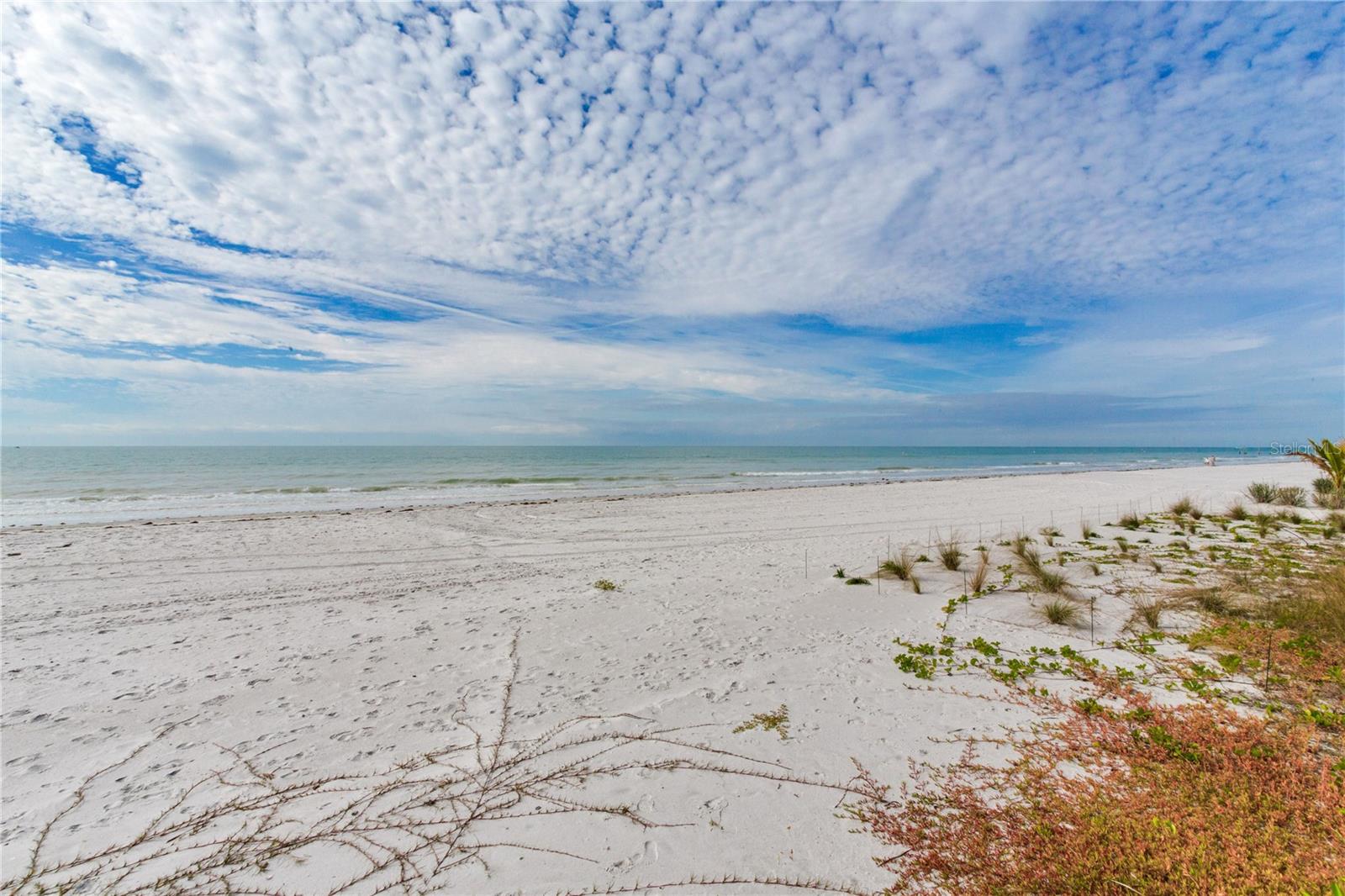 TB8462168 Property Photo