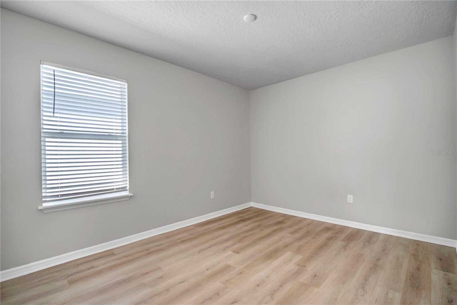 32975 SAND CREEK DR, WESLEY CHAPEL, FL, 33543