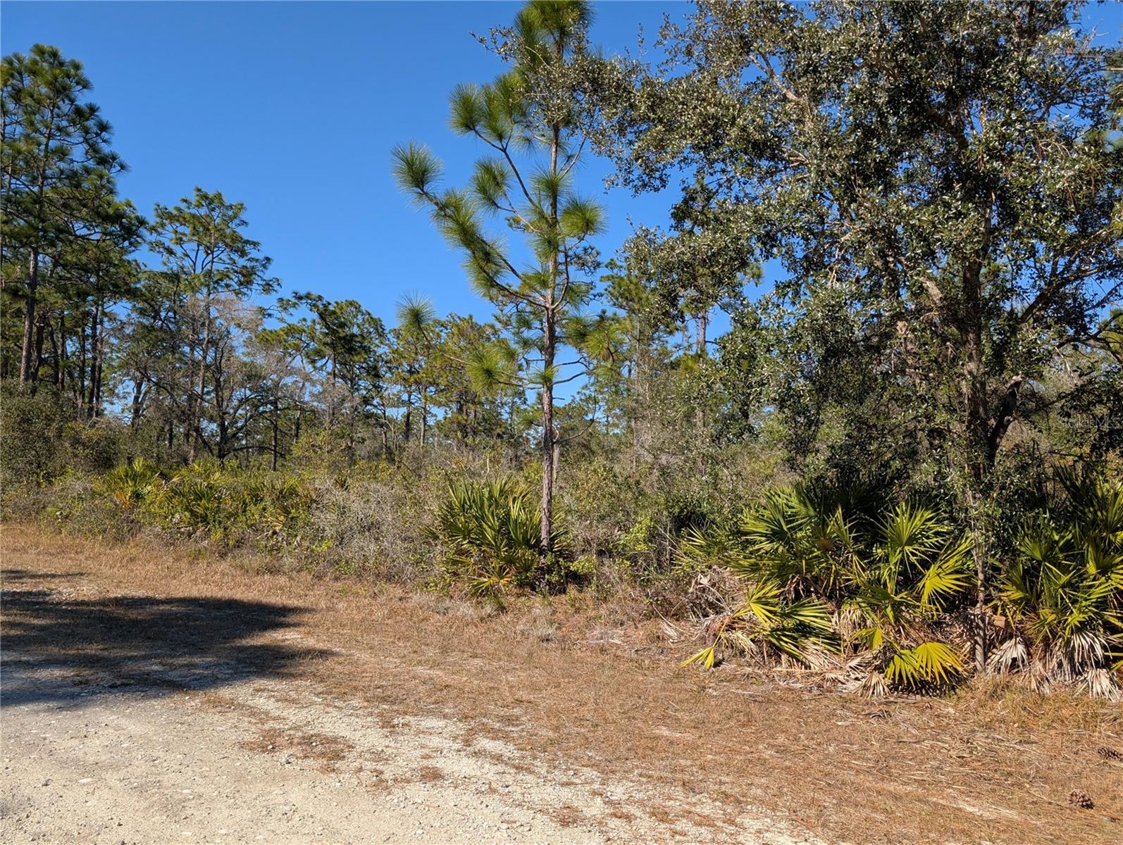 612 MAGNOLIA DR, INDIAN LAKE ESTATES, FL, 33855