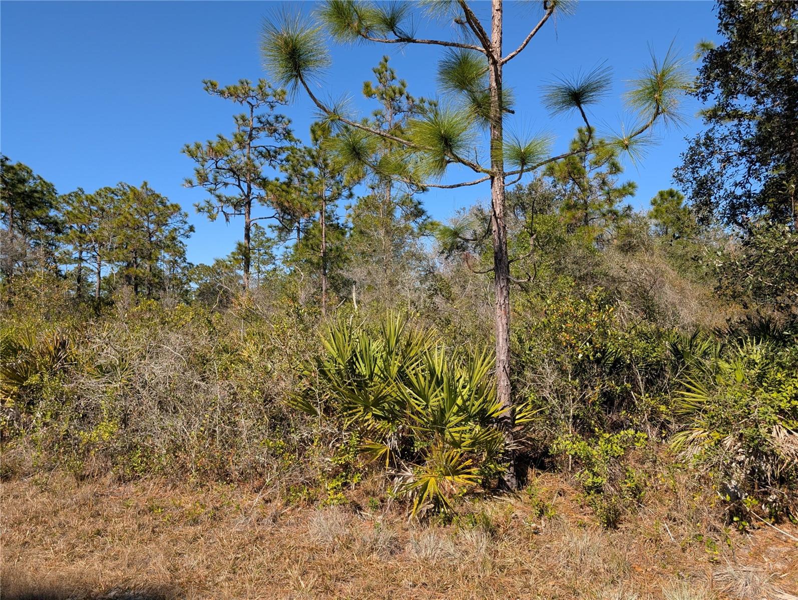 612 MAGNOLIA DR, INDIAN LAKE ESTATES, FL, 33855