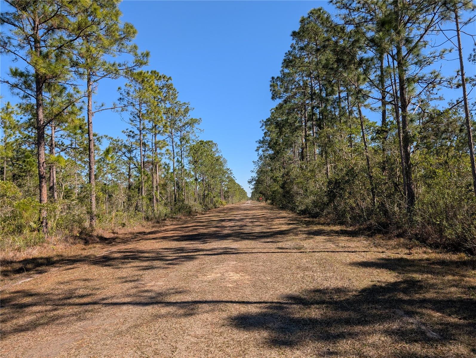 206 IXORA DR, INDIAN LAKE ESTATES, FL, 33855