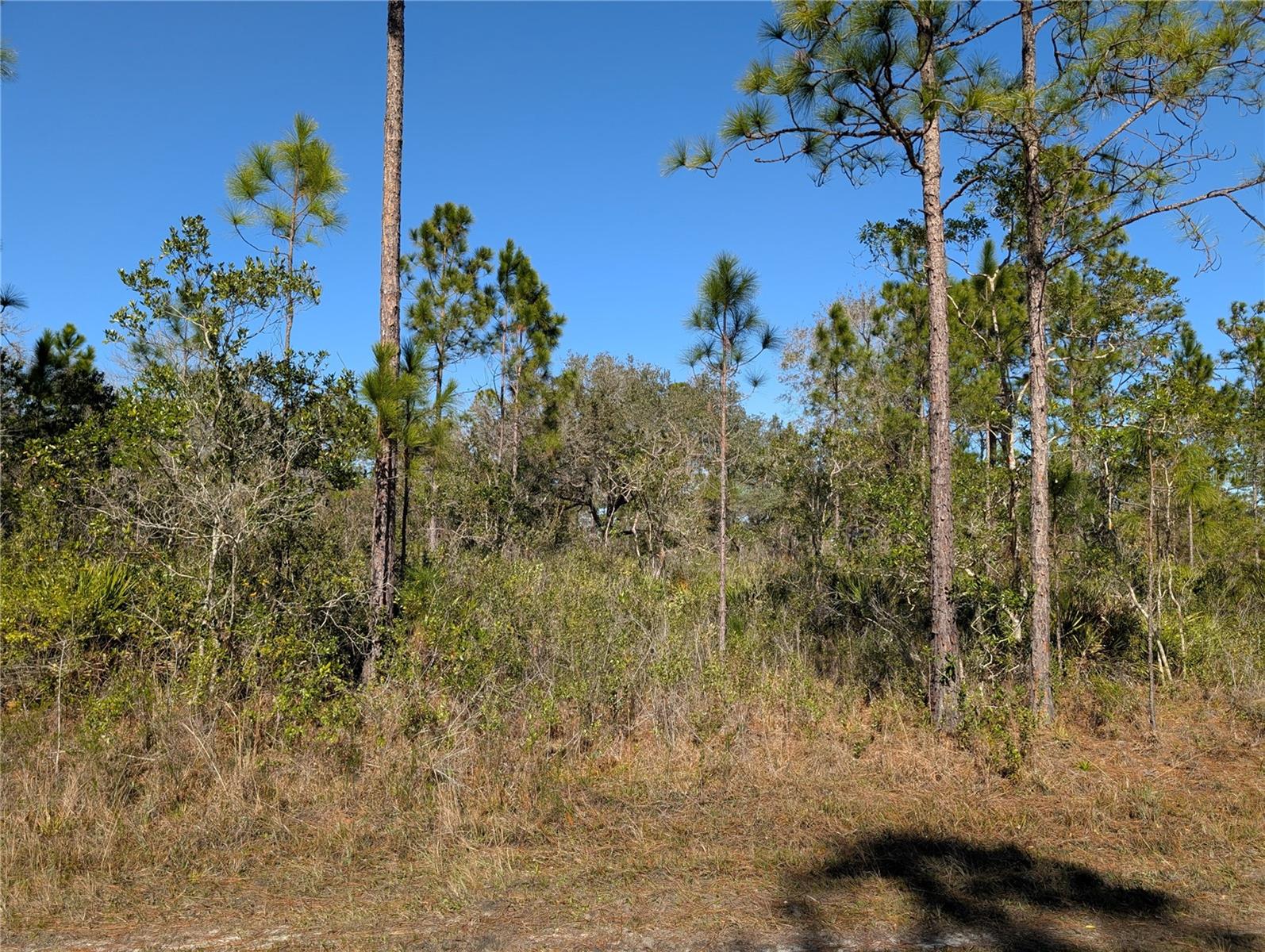 206 IXORA DR, INDIAN LAKE ESTATES, FL, 33855