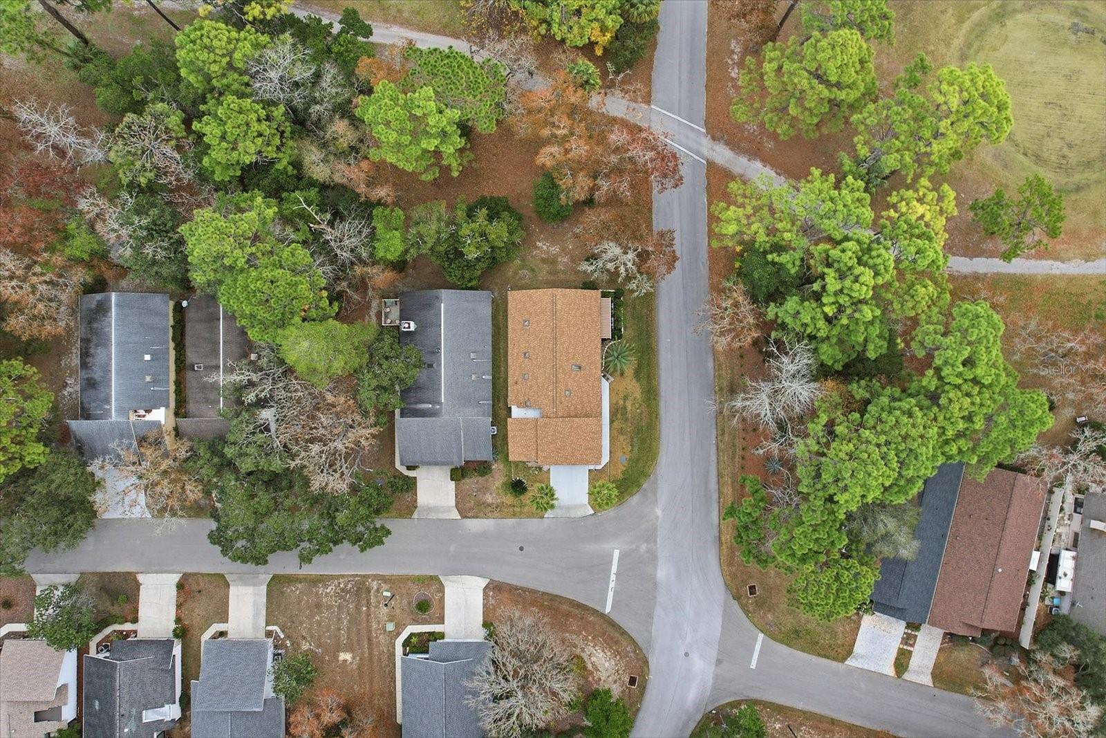 95 GOLFVIEW DR, HOMOSASSA, FL, 34446