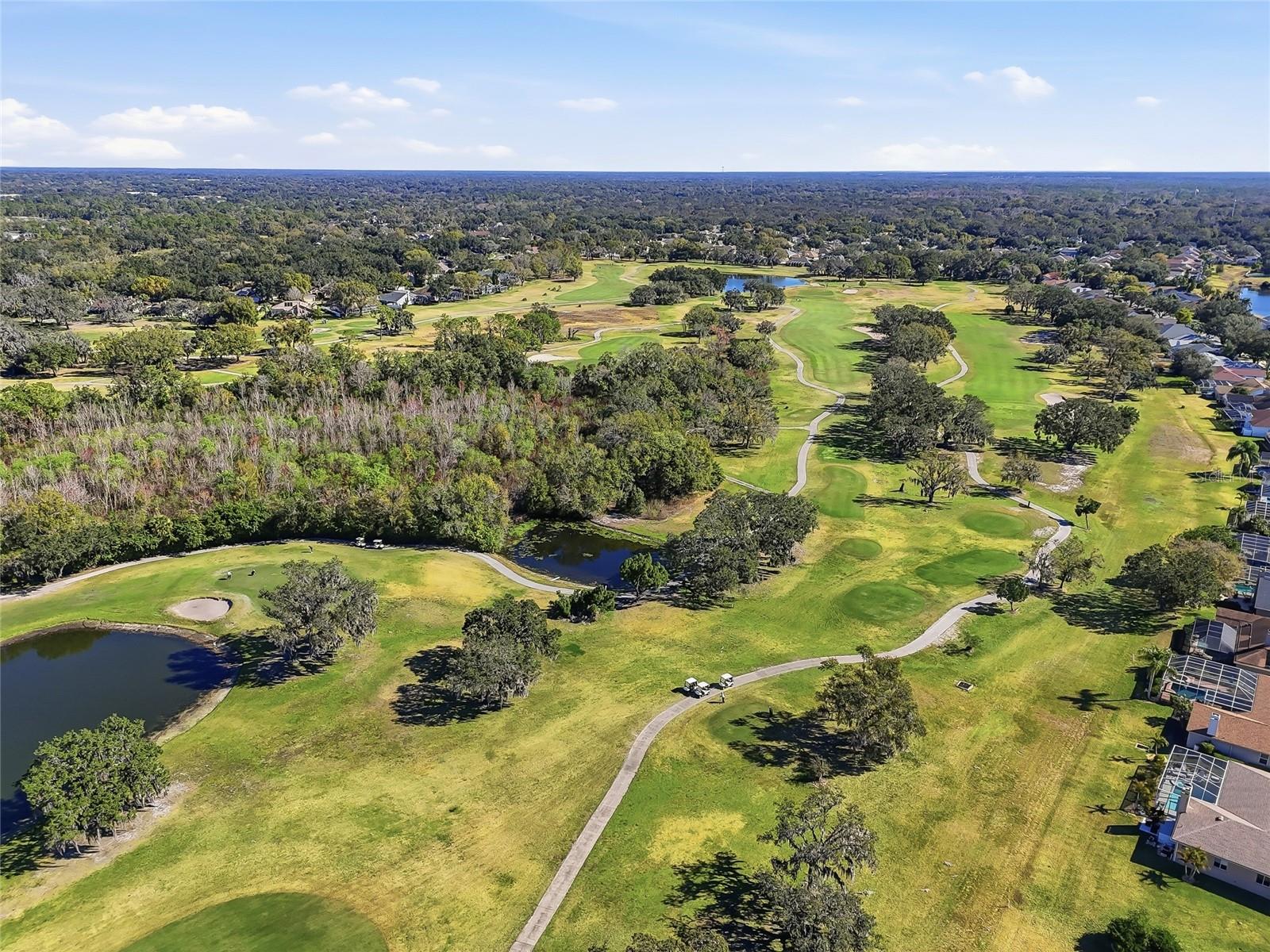 1512 CROOKED STICK DR, VALRICO, FL, 33596