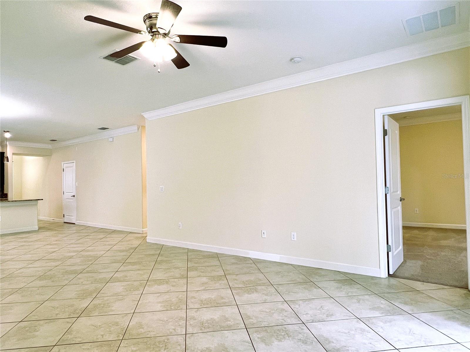 11822 FROST ASTER DR, RIVERVIEW, FL, 33579