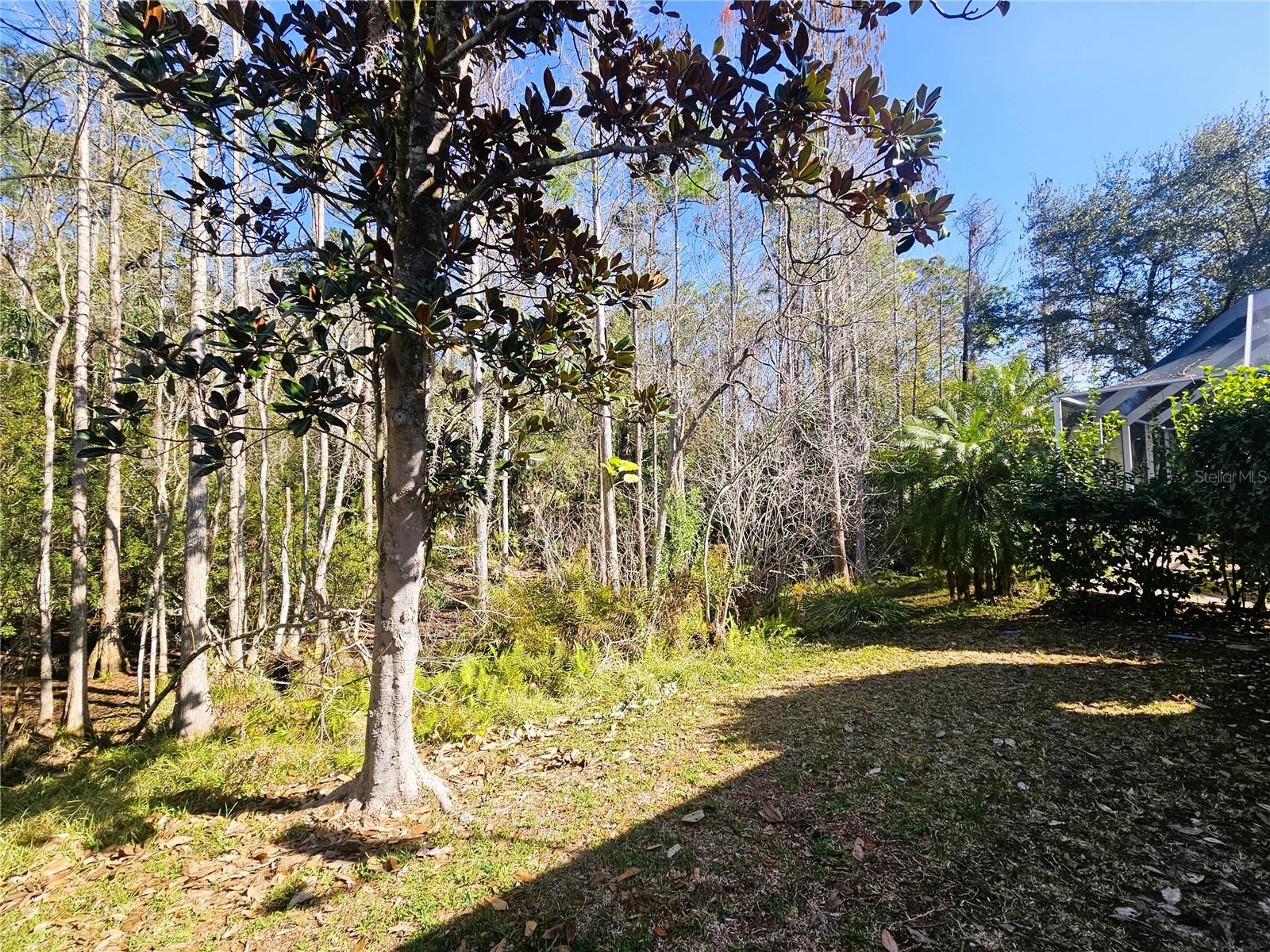 10441 GREENDALE DR, TAMPA, FL, 33626