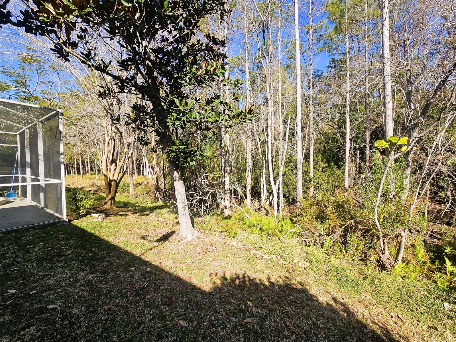 10441 GREENDALE DR, TAMPA, FL, 33626