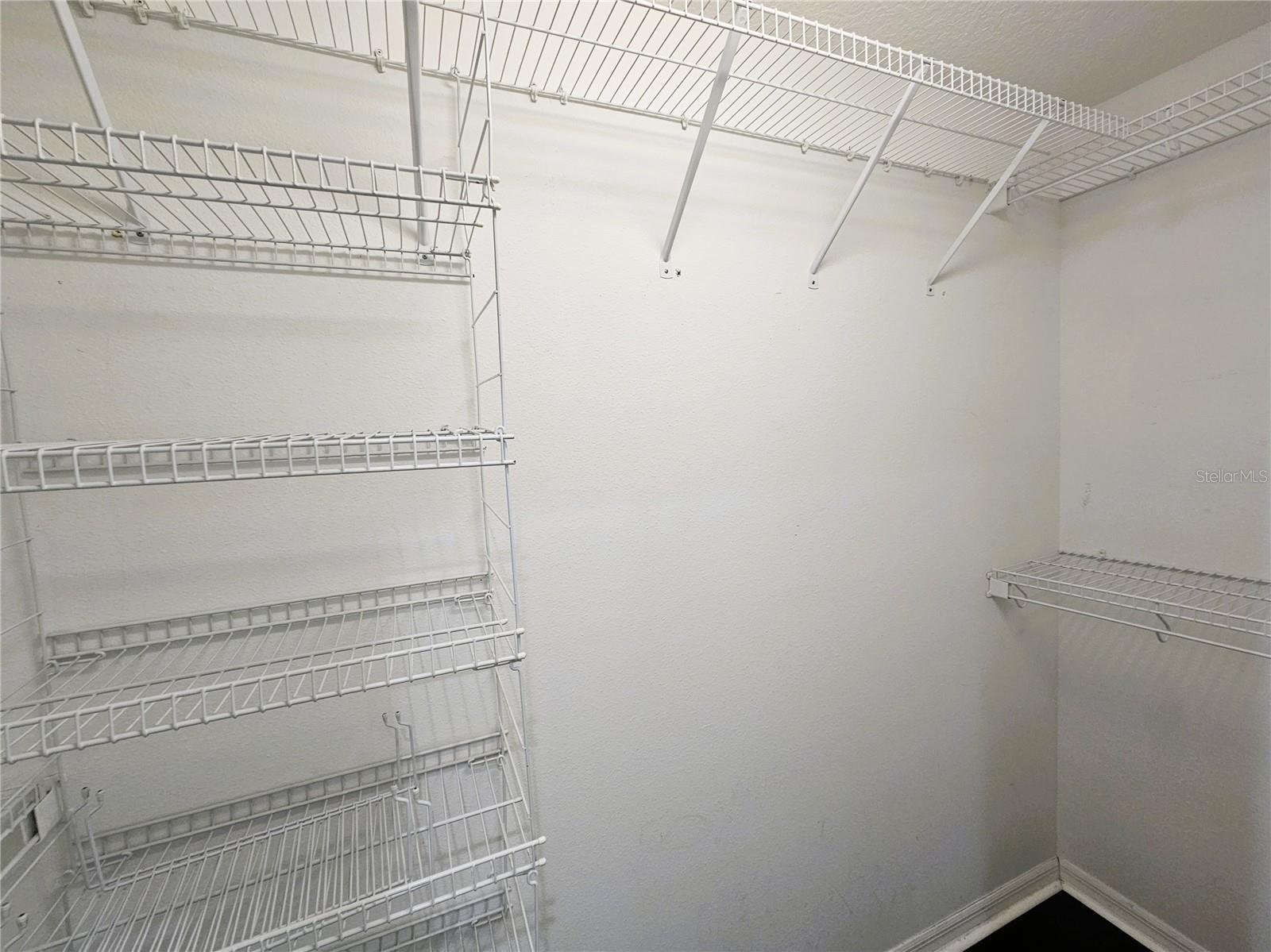 10441 GREENDALE DR, TAMPA, FL, 33626