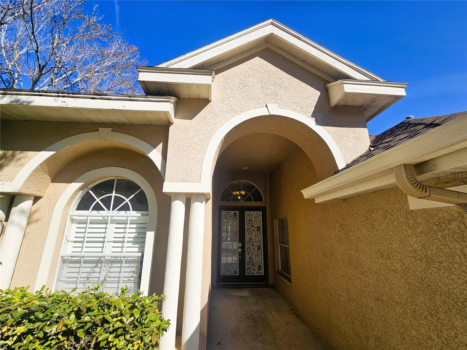 10441 GREENDALE DR, TAMPA, FL, 33626