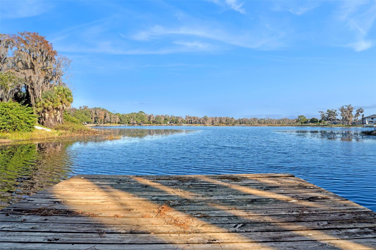 9825 LAKE GEORGIA DR, ORLANDO, FL, 32817