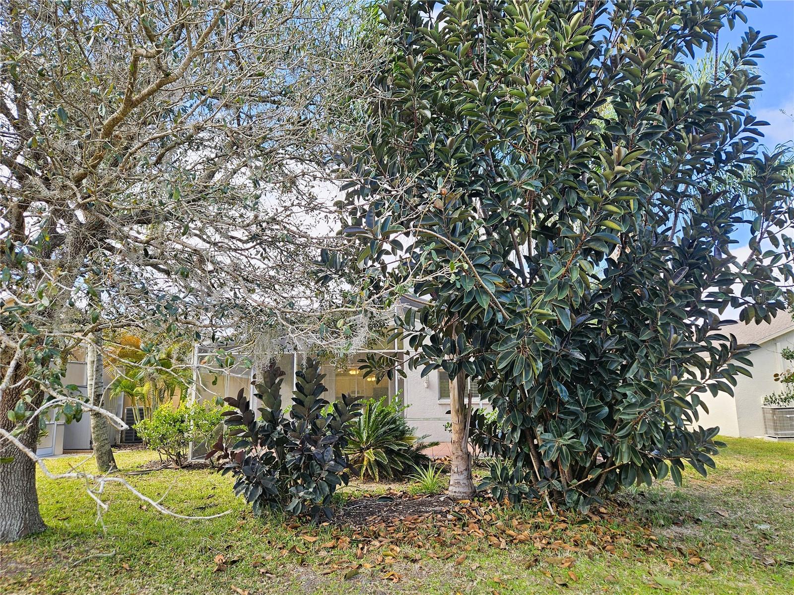 19317 SEACOVE DR, LUTZ, FL, 33558