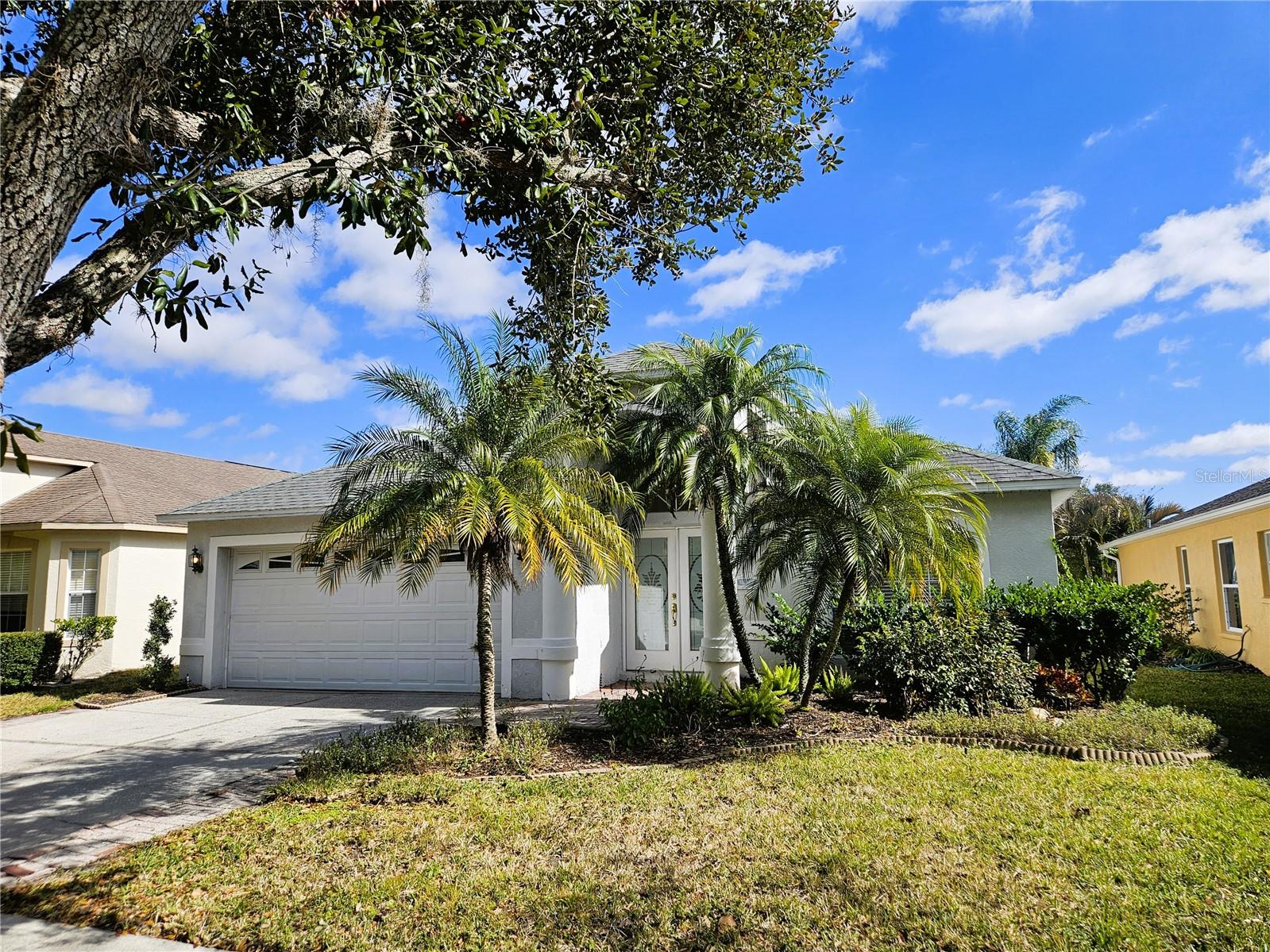 19317 SEACOVE DR, LUTZ, FL, 33558