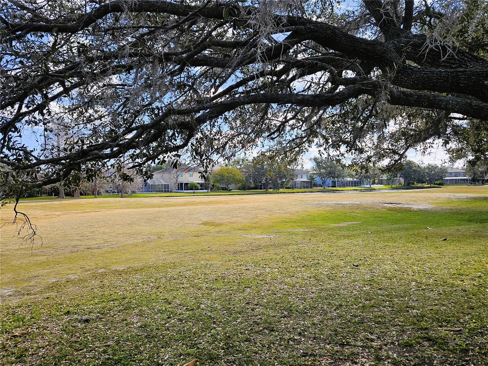 19317 SEACOVE DR, LUTZ, FL, 33558