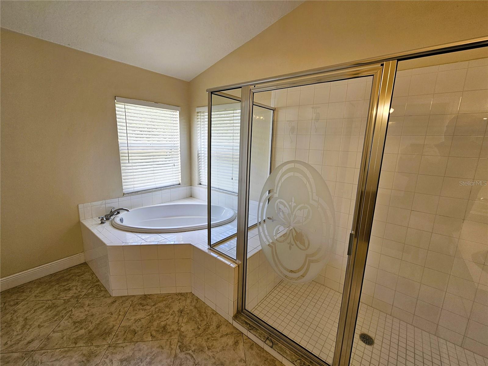 19317 SEACOVE DR, LUTZ, FL, 33558