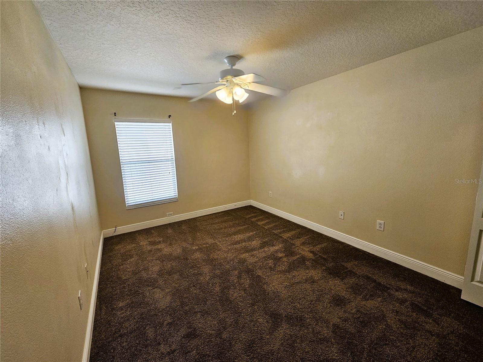 19317 SEACOVE DR, LUTZ, FL, 33558