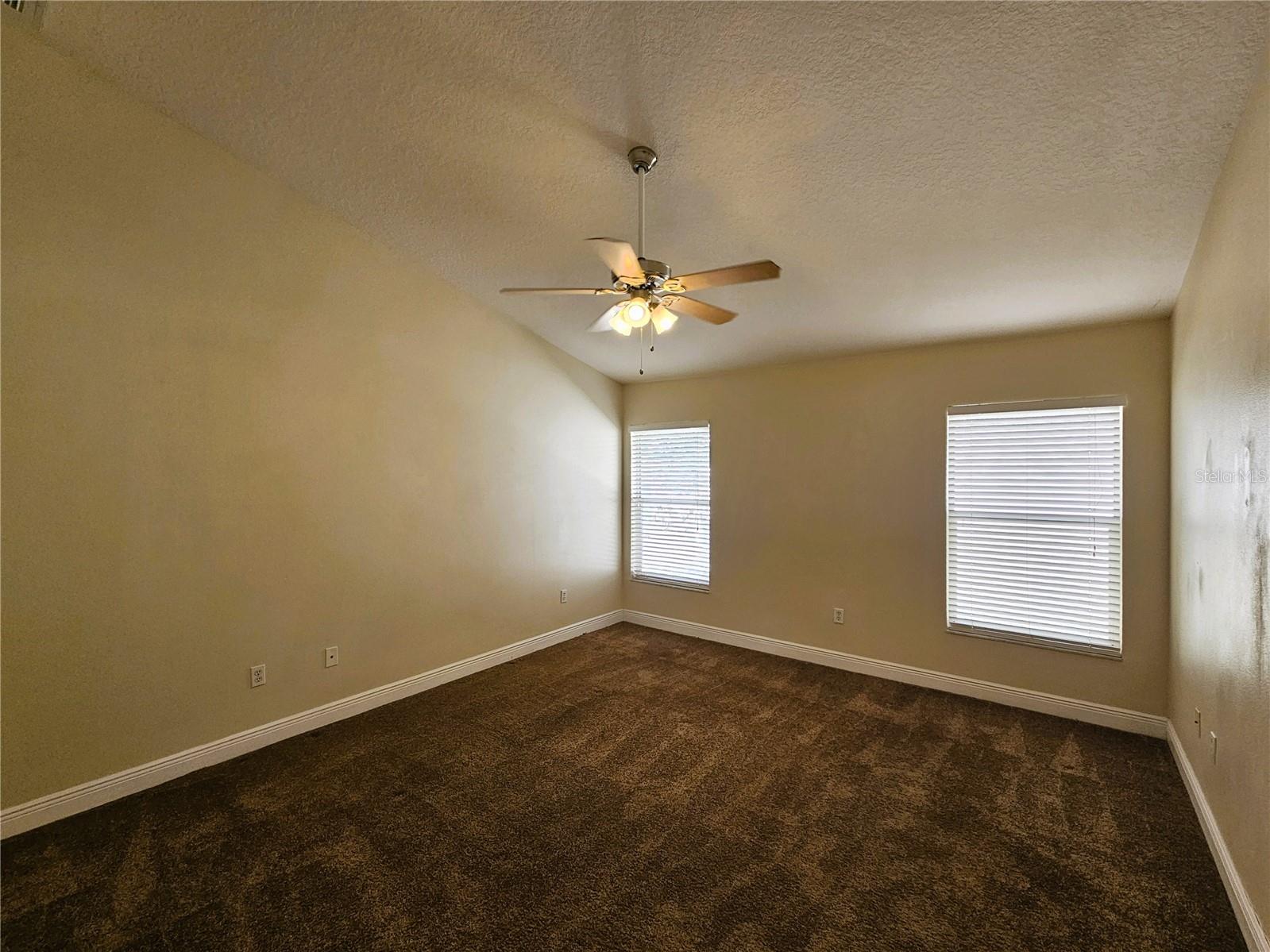 19317 SEACOVE DR, LUTZ, FL, 33558