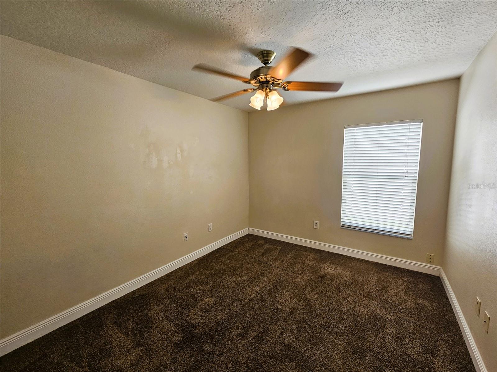 19317 SEACOVE DR, LUTZ, FL, 33558