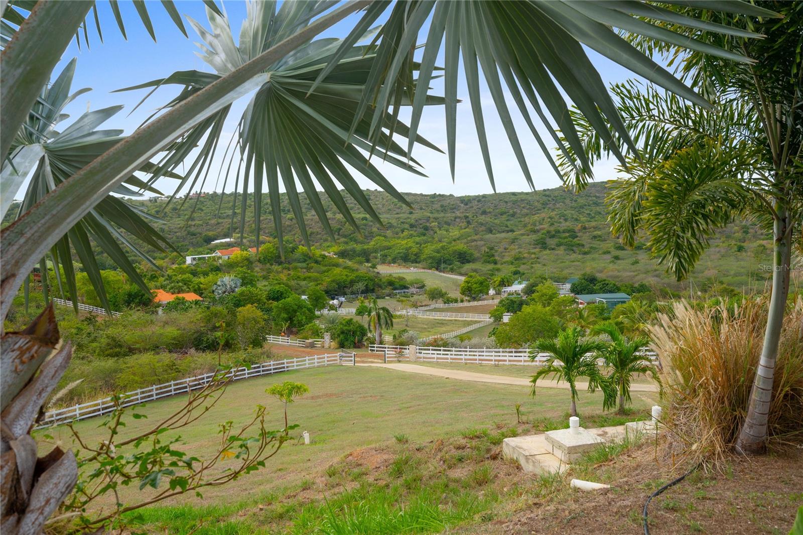 PR9118411 Property Photo