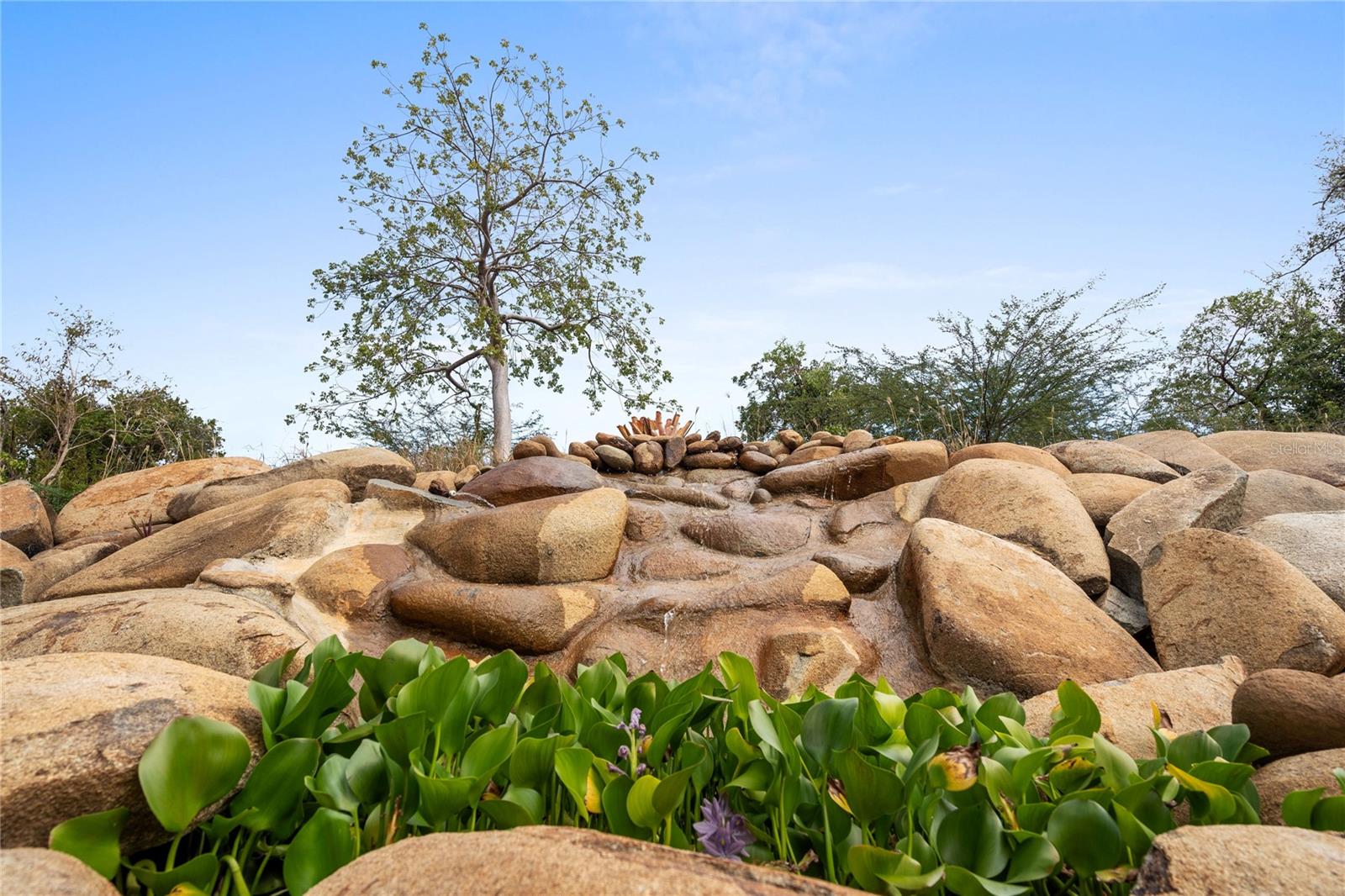 PR9118411 Property Photo