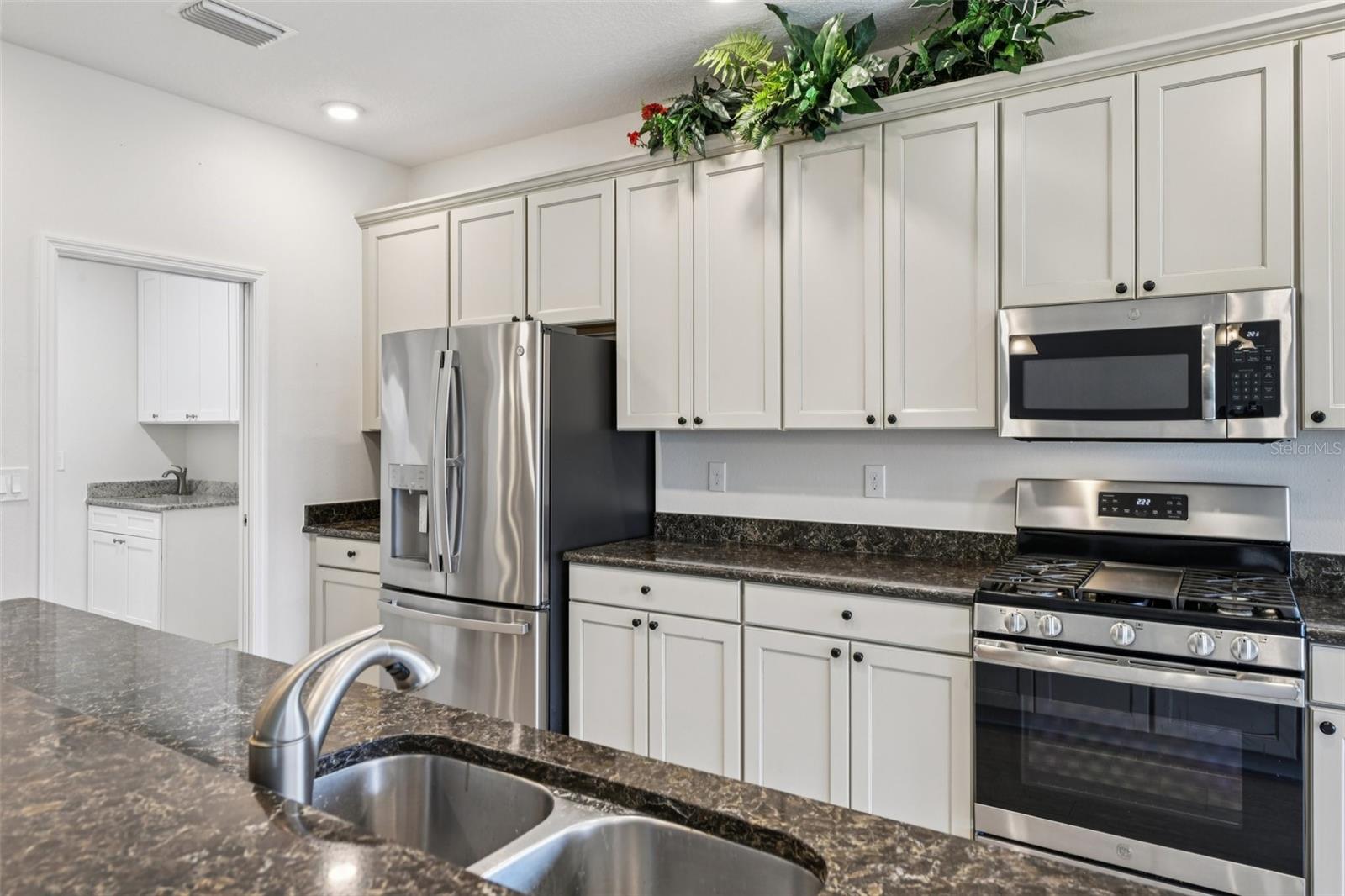 27040 CAMERONS RUN, LEESBURG, FL, 34748