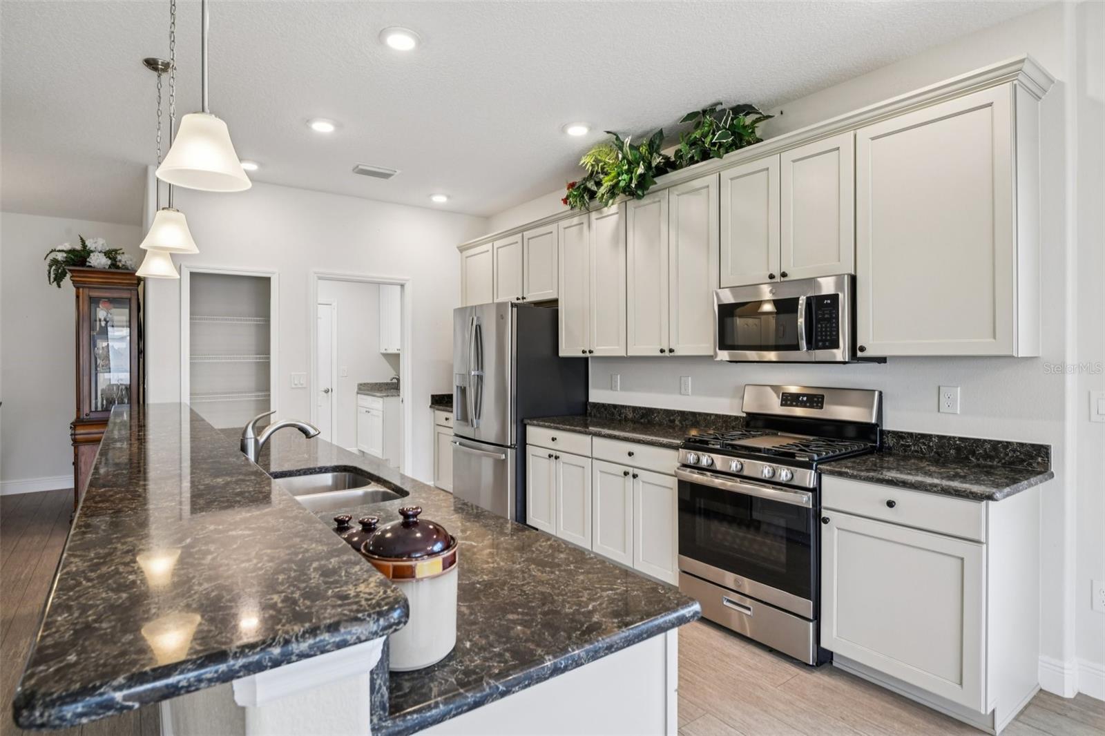 27040 CAMERONS RUN, LEESBURG, FL, 34748