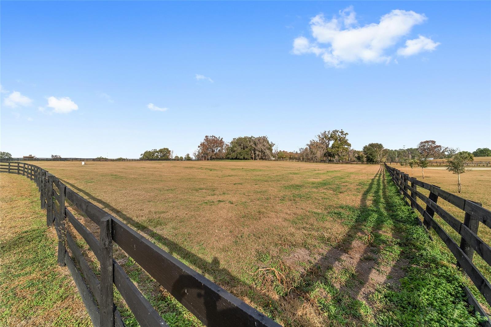 OM716397 Property Photo