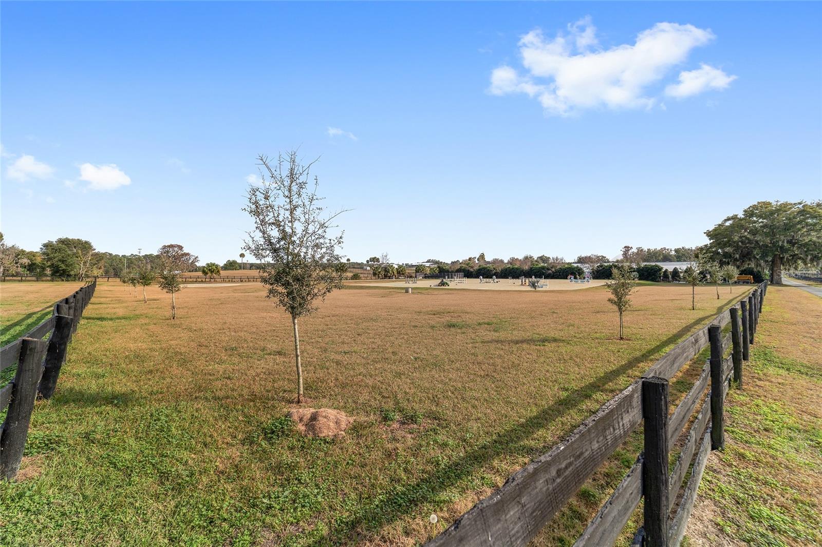 OM716397 Property Photo