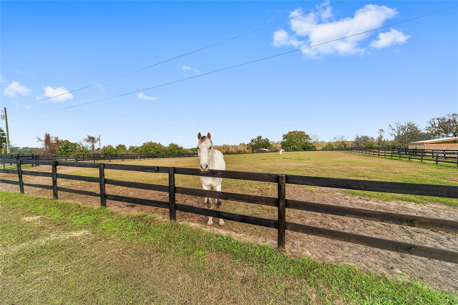 OM716397 Property Photo