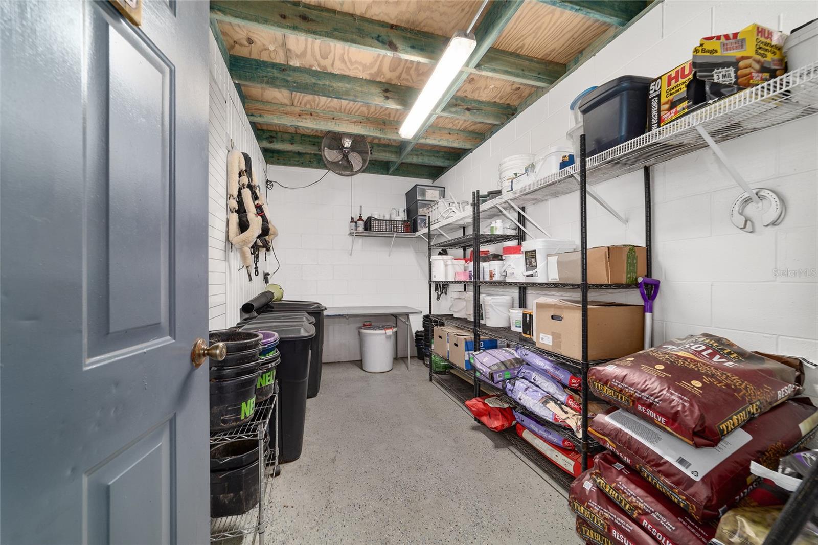 OM716397 Property Photo