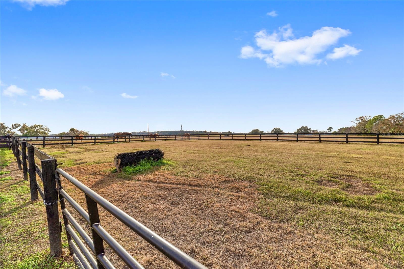 OM716397 Property Photo