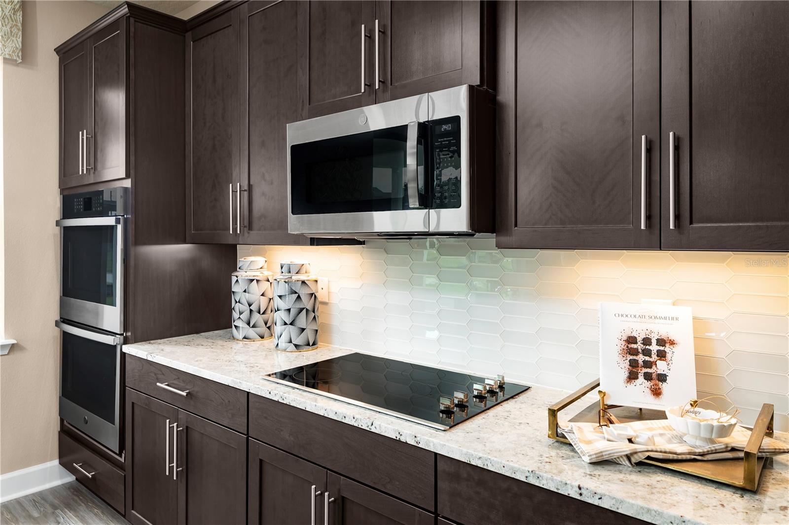 3131 TIGER PALM WAY, NEW SMYRNA BEACH, FL, 32168