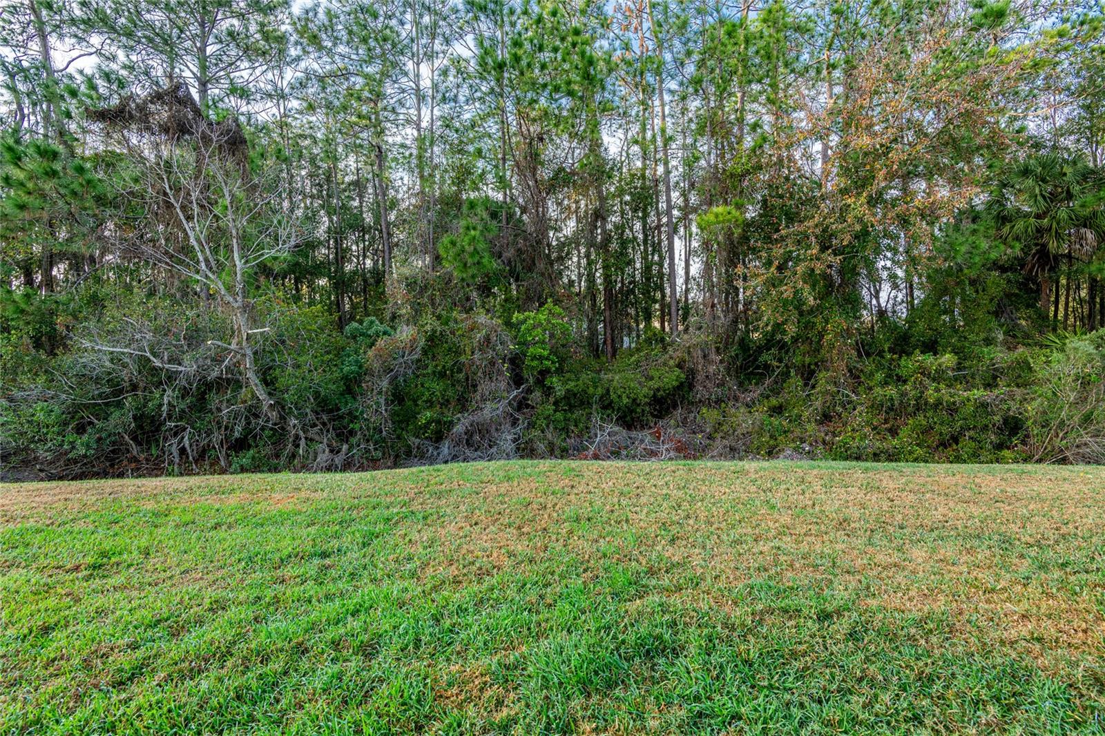 Backyard conservation protected preserve