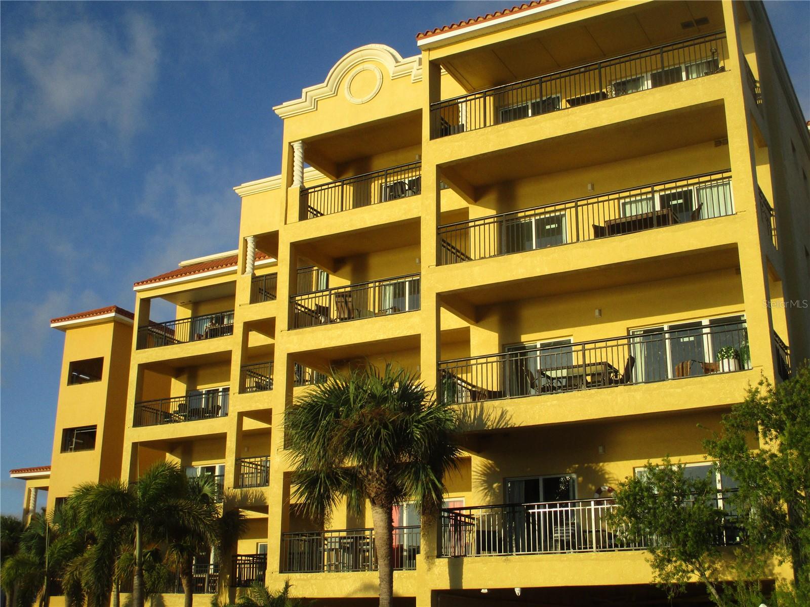 Palms of Treasure Island.