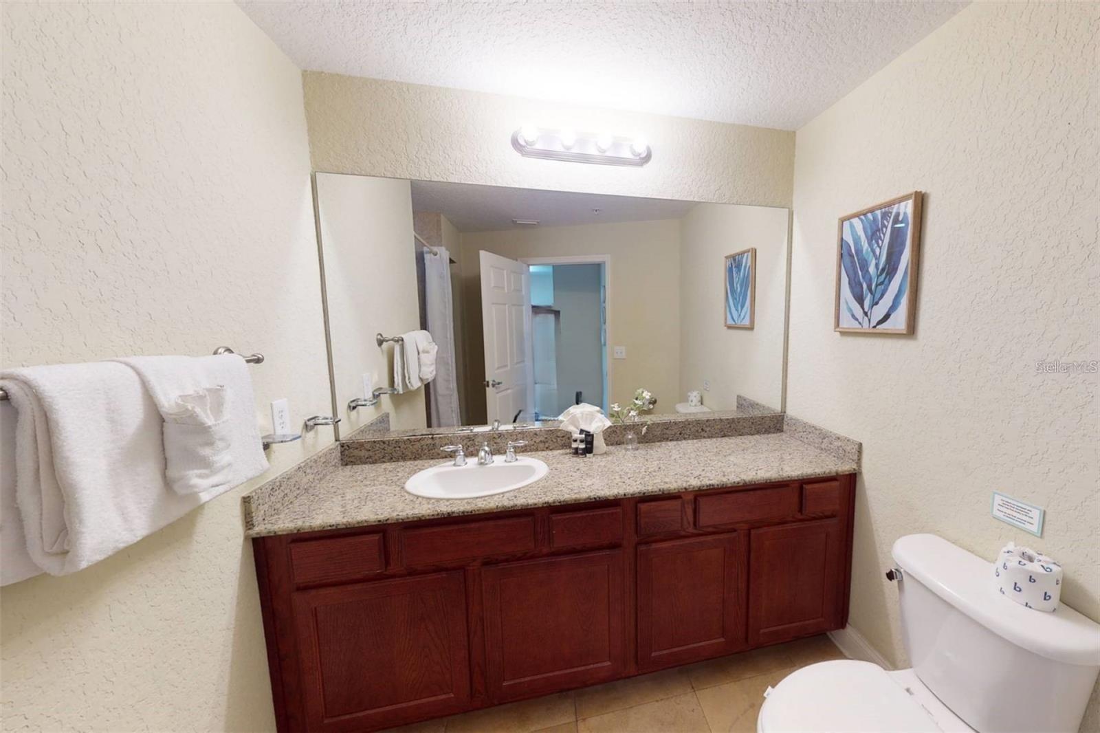 Guest Bath