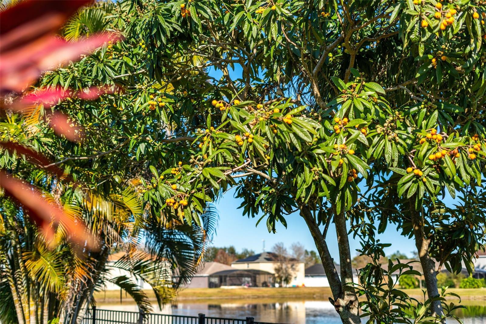 1015 SENECA FALLS DR, ORLANDO, FL, 32828