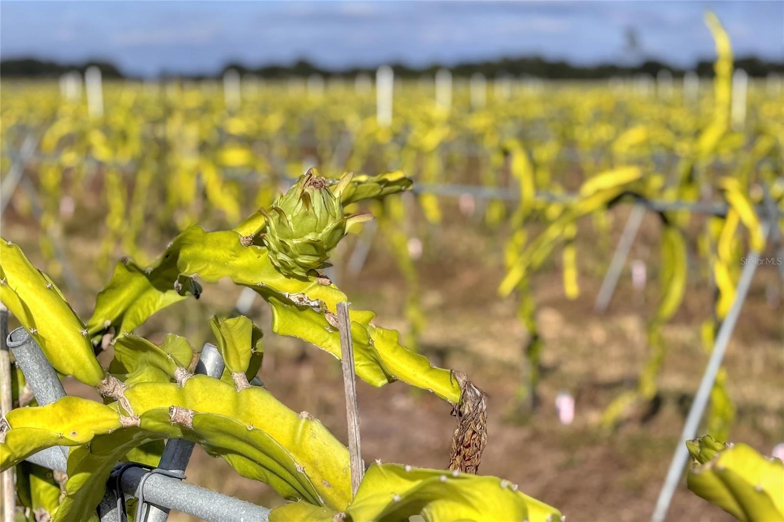 TB8463525 Property Photo