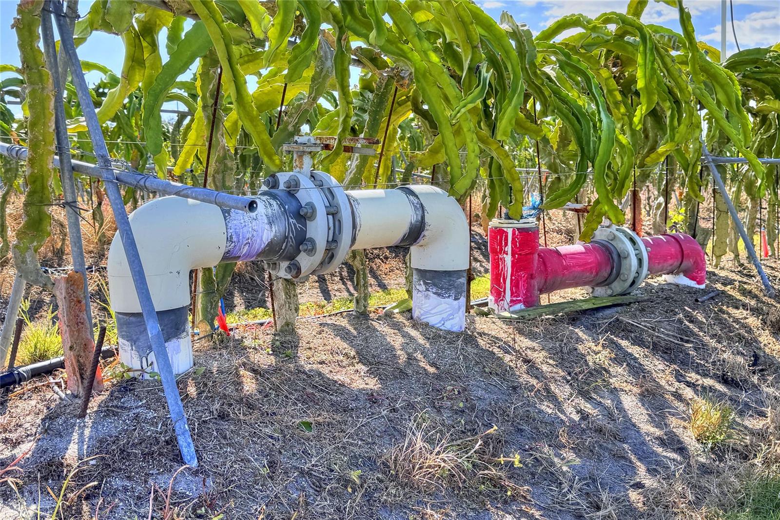 TB8463525 Property Photo