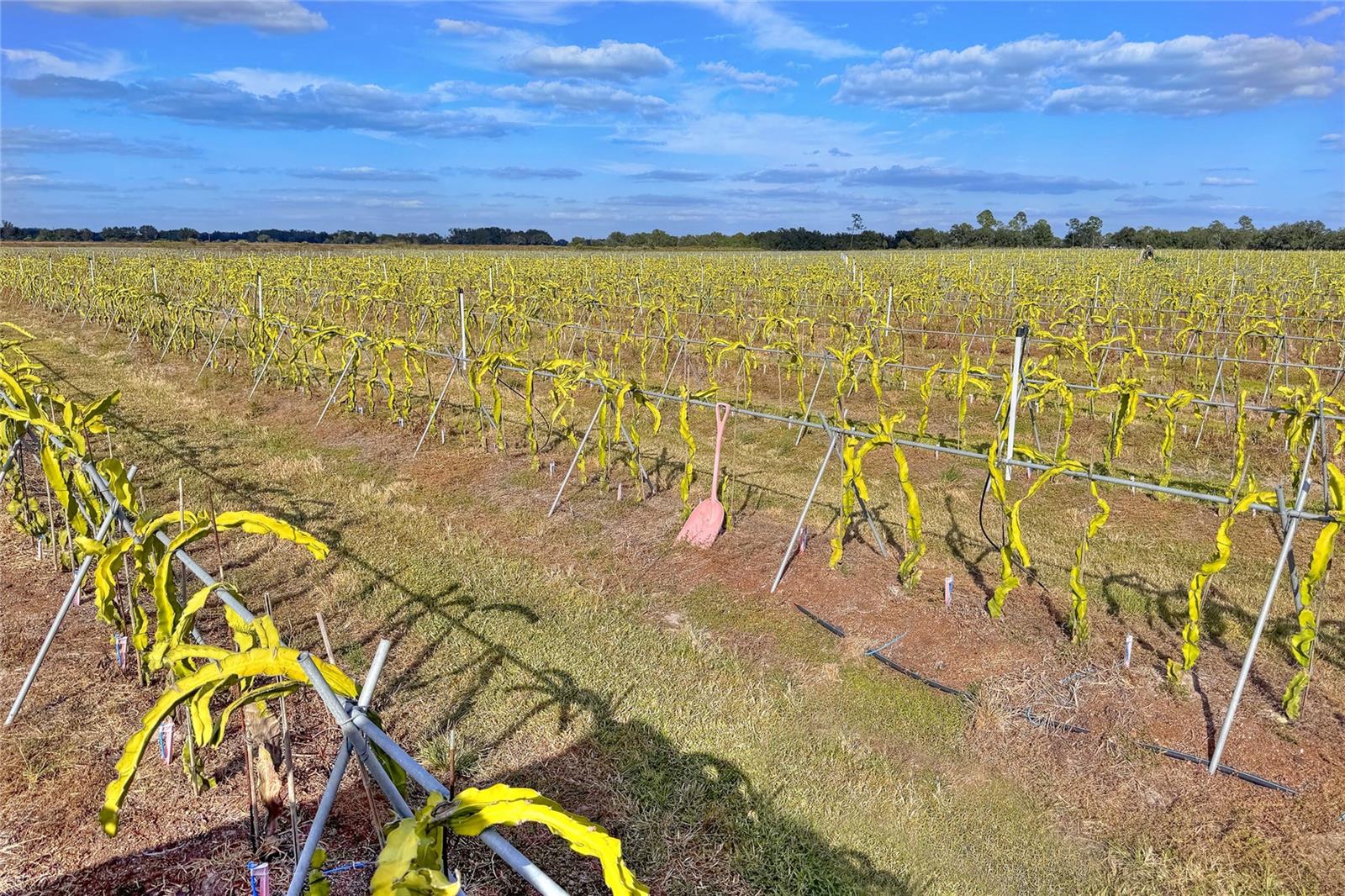 TB8463525 Property Photo