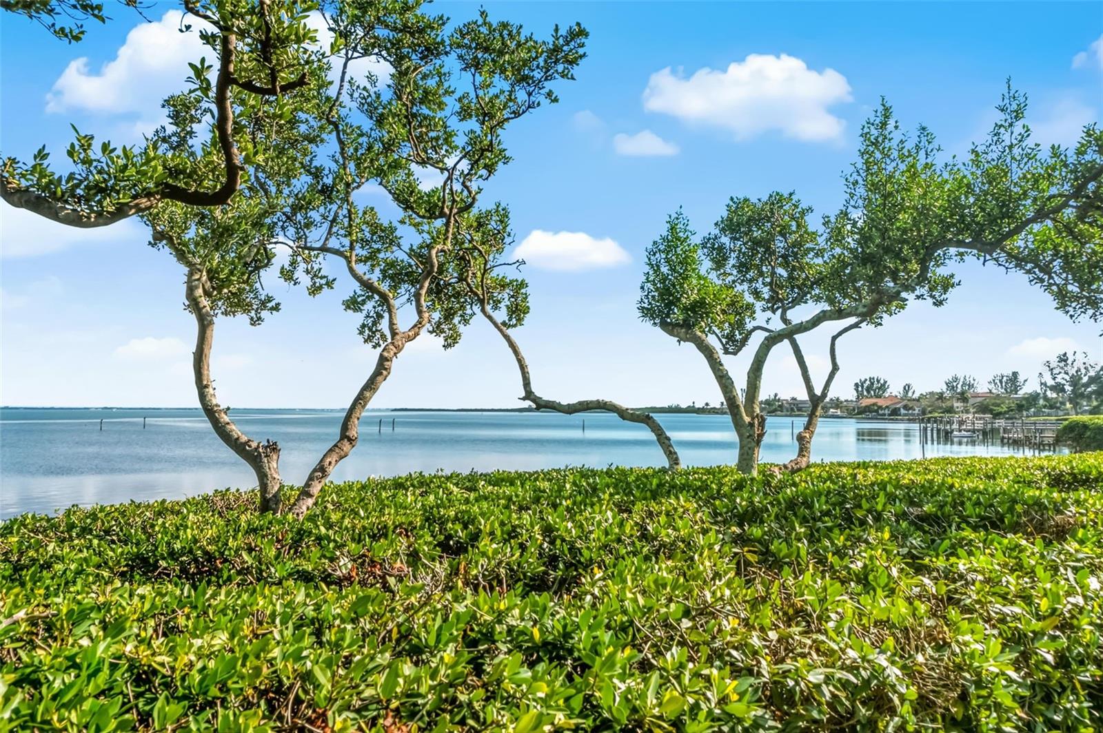 A4677934 Property Photo