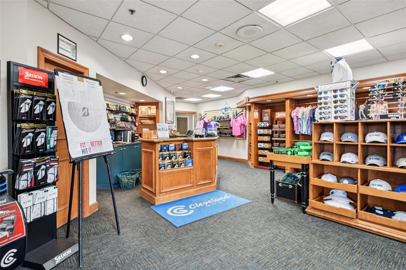 8013 PINE HOLLOW DR, MOUNT DORA, FL, 32757