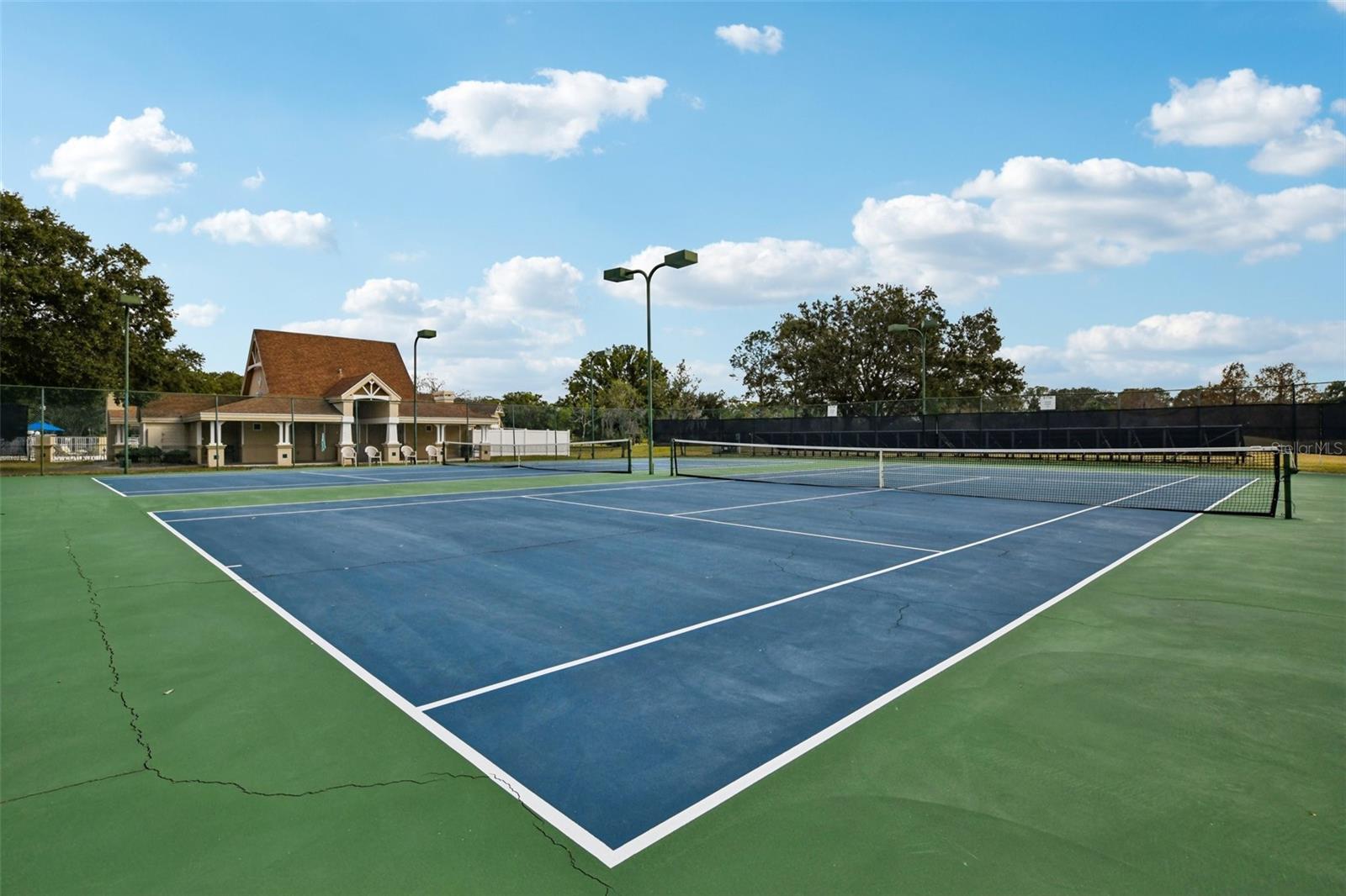 8013 PINE HOLLOW DR, MOUNT DORA, FL, 32757